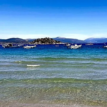 Skalidis
