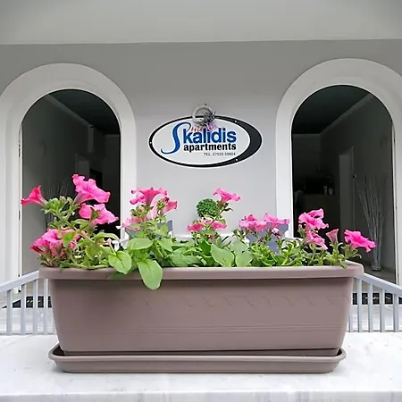 Skalidis 3* Iria